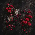 دانلود آهنگ دشت لاله از دانیال